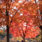 新成平台如何推动行业合作与资源共享的未来 75viw8xbze