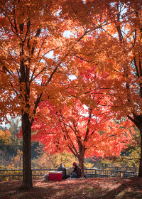 新成平台如何推动行业合作与资源共享的未来