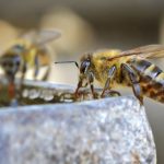 新手必看:进入老虎机店前需要了解的基本知识 7nqa5yw13r