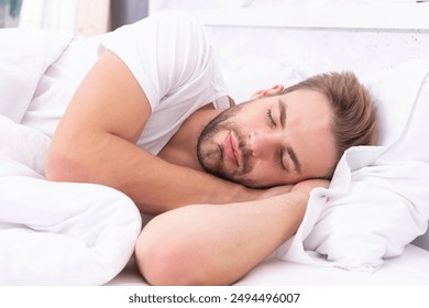 新豪天地的夜生活：畅享多元化娱乐活动的最佳选择