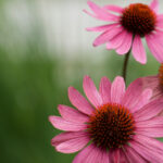 2017年网球赛事精彩直播全纪录 2otge40ggs