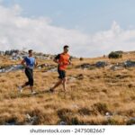 2017法网公开赛精彩对决全程高清直播 6o4t2t