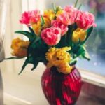 2017经视直播:回顾年度新闻大事件纪实 79wo1j0db