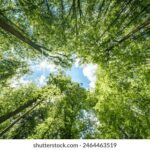 3D开奖结果第122期最新开奖号码已公布 8dwy2n6