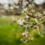 3d开奖结果第002期开奖号码最新公布 dulvhh