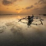 2017年田径锦标赛全程高清直播精彩看点 edsmf