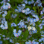 3D开奖结果查询:官方指定平台与实时开奖渠道 j8tdi