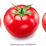 2017年:直播行业的爆发与变革之年 o0i03