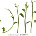 3d开奖结果第149期最新开奖号码已公布 r9r2o