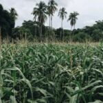 2017年法国网球公开赛全程高清直播精彩对决 ywxugr8