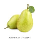 3d开奖结果第209期最新开奖号码已公布 zgbsu