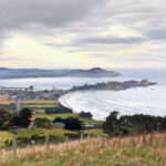 2017年最令人难忘的电视直播盛事回顾 zr59e